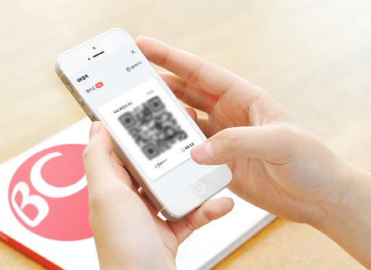 결제·금융 전문 플랫폼 '페이북'.  BC카드 제공